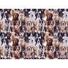 Canine!