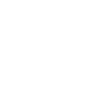 Princess Crown