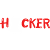 White Hat Hacker