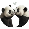 pandaherz