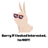 Hase