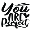 Vous êtes parfait