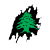 cedar