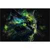 Chat #01
