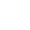 Édition limitée 1980