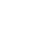 Édition limitée 1981
