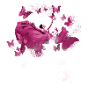 Female Power,Freedom,Women,Butterflies
