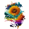 Sonnenblume