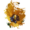 Blume