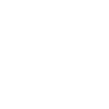 Limited Edition 1989