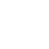 Édition limitée 1991