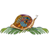 Schnecke