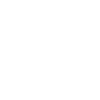 Édition limitée 1999