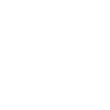 Limited Edition 2000