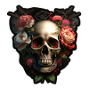 Skulls n' Roses