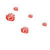 Rosier blanc étrange