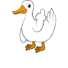 Drôle de canard vous canard