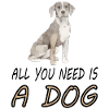 Dog Dog Trainer Dog Friend