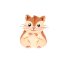 Maman hamster