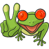 Frog Hippie Sunglasses