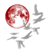 Under the Red Moon