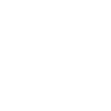 Party King