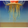 Surface jellyfish