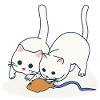 Two playing cats