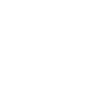 Party Princess