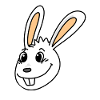 Rabbit Head Animal Head