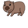 Motif wombat marsupial