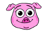 Pig Head Animal Head