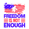 FREEDOM IS NOT ENOUGH