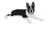 Boston Terrier Dog Lovers Cadeau