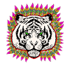 tigre plume 1