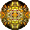Nature Mandala Underwater Sponge
