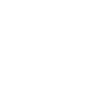 Bernedoodle Hunderasse Hunde Wilsigns