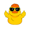 Sarcasm and duck