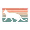 Cats Cat Eyes Wildcat