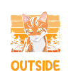 Cats Cat Eyes Tiger Wildcat