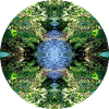 Nature Mandala CS Lipno