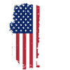 Saxophone USA Patriot