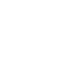 Window cleaner