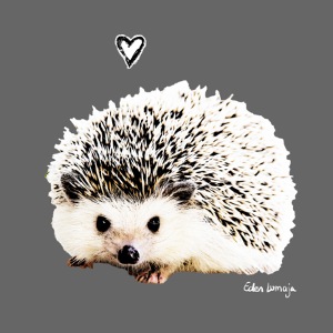 Igel