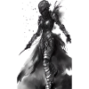 Roi Chevalier