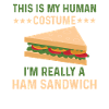 Funny Ham Sandwich T-shirt