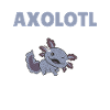 Axolotl Explication Anatomie d’un Axolotl