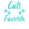 Gift Cat Owner Cat Gift