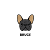 Bulldog Love French Bulldog Frenchie