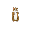 Papa hamster
